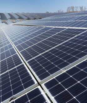 beautiful-alternative-energy-plant-with-solar-panels beautiful-alternative-energy-plant-with-solar-panels
